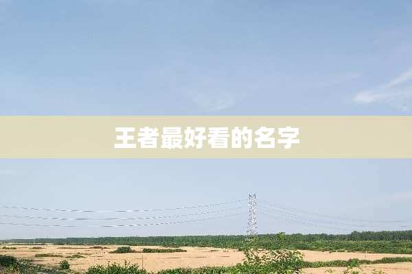王者最好看的名字