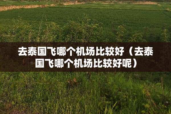 去泰国飞哪个机场比较好（去泰国飞哪个机场比较好呢）