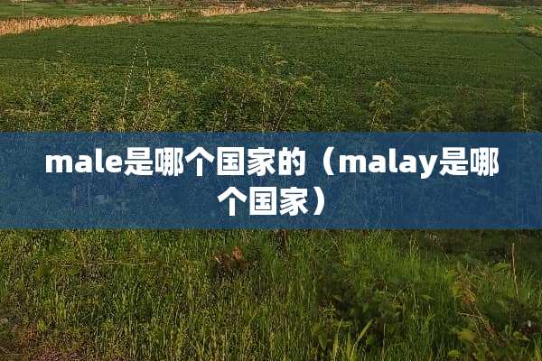 male是哪个国家的（malay是哪个国家）