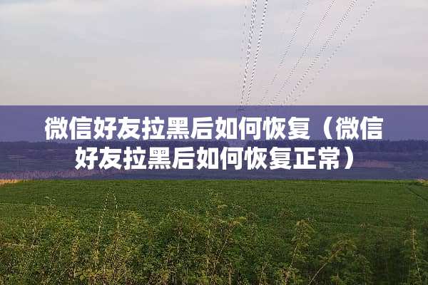 微信好友拉黑后如何恢复（微信好友拉黑后如何恢复正常）