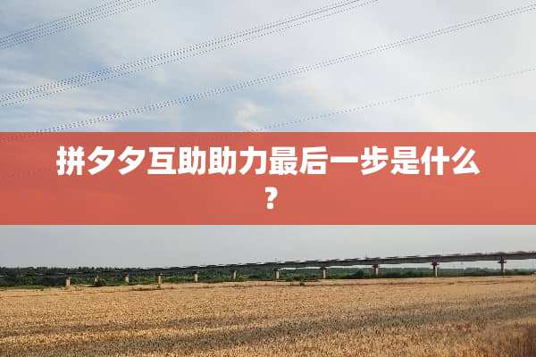 拼夕夕互助助力最后一步是什么？