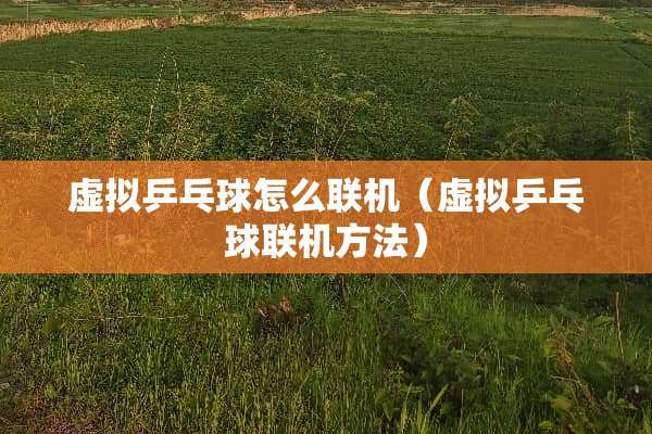虚拟乒乓球怎么联机（虚拟乒乓球联机方法）