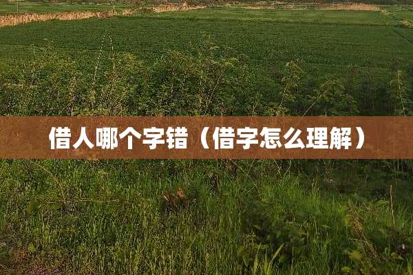 借人哪个字错（借字怎么理解）