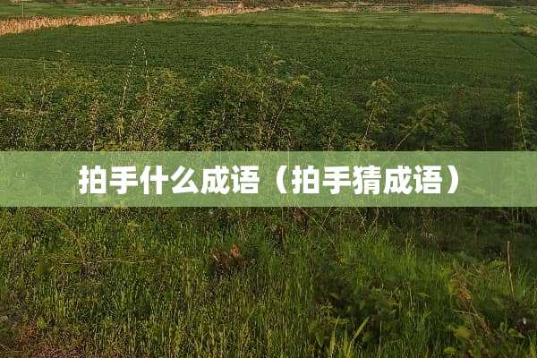 拍手什么成语（拍手猜成语）