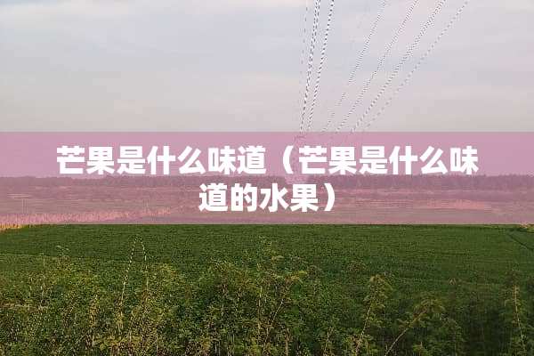 芒果是什么味道（芒果是什么味道的水果）
