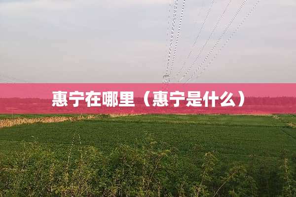 惠宁在哪里（惠宁是什么）