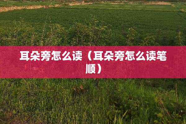 耳朵旁怎么读（耳朵旁怎么读笔顺）