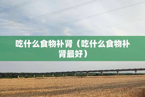 吃什么食物补肾（吃什么食物补肾最好）