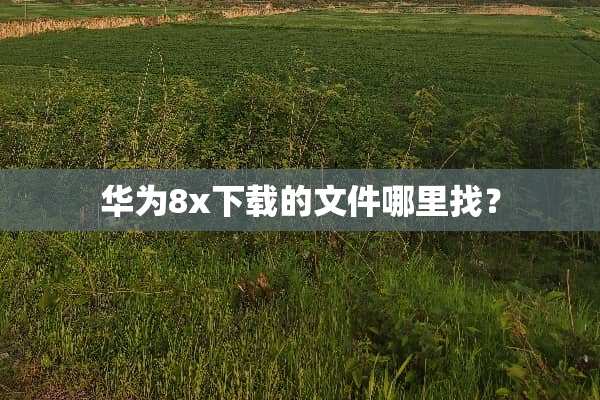 华为8x下载的文件***？