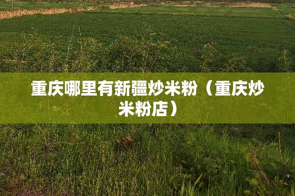 重庆哪里有新疆炒米粉（重庆炒米粉店）