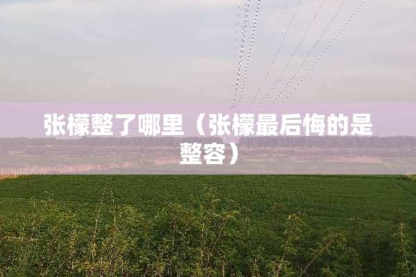 张檬整了哪里（张檬最后悔的是整容）