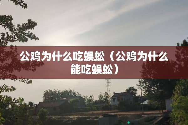 公鸡为什么吃蜈蚣（公鸡为什么能吃蜈蚣）