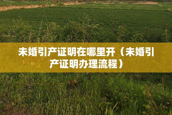 未婚引产证明在哪里开（未婚引产证明办理流程）