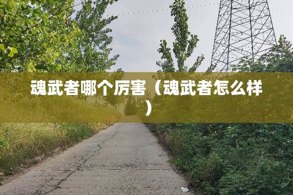 魂武者哪个厉害（魂武者怎么样）