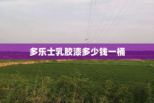 多乐士*胶漆多少钱一桶