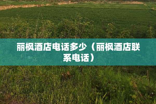 丽枫酒店电话多少（丽枫酒店联系电话）