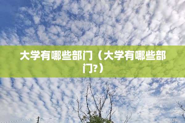 大学有哪些部门（大学有哪些部门?）