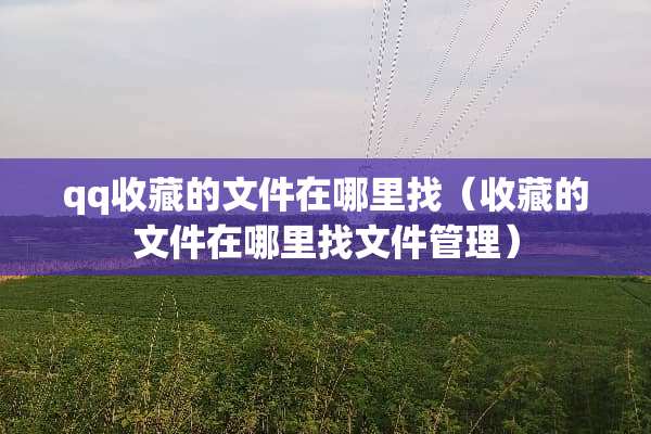 qq收藏的文件在***（收藏的文件在***文件管理）