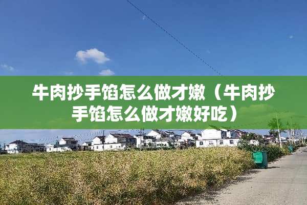 牛肉抄手馅怎么做才嫩（牛肉抄手馅怎么做才嫩好吃）