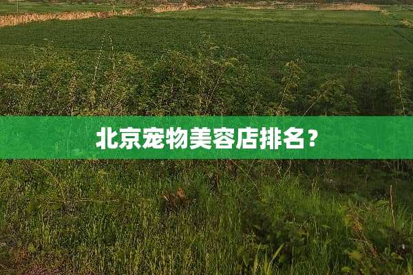 北京宠物美容店排名？