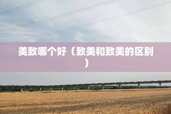 美致哪个好（致美和致美的区别）