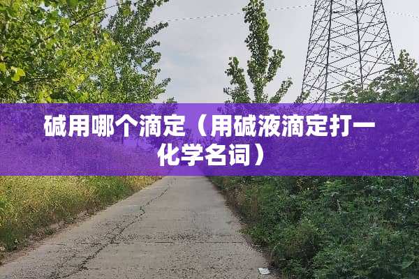 碱用哪个滴定（用碱液滴定打一化学名词）