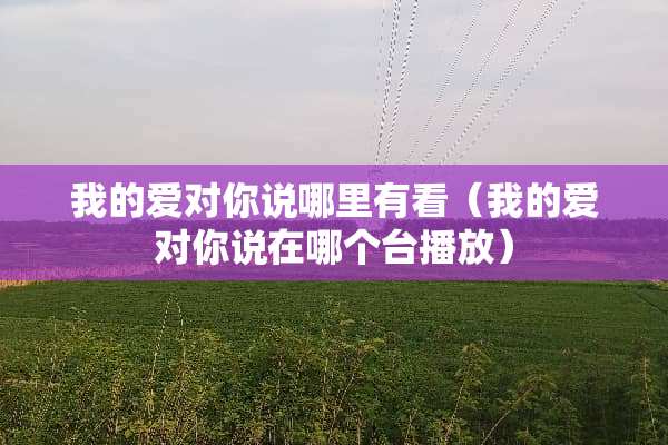 我的爱对你说哪里有看（我的爱对你说在哪个台播放）
