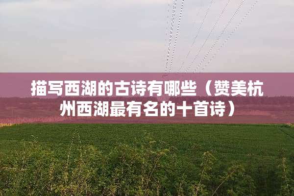 描写西湖的古诗有哪些（赞美杭州西湖最有名的十首诗）
