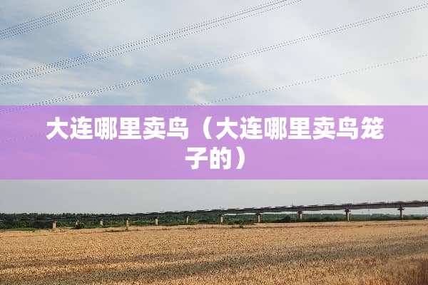 大连哪里卖鸟（大连哪里卖鸟笼子的）