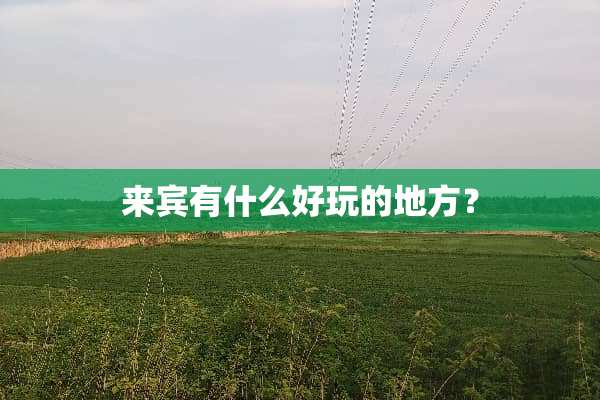 来宾有什么好玩的地方？