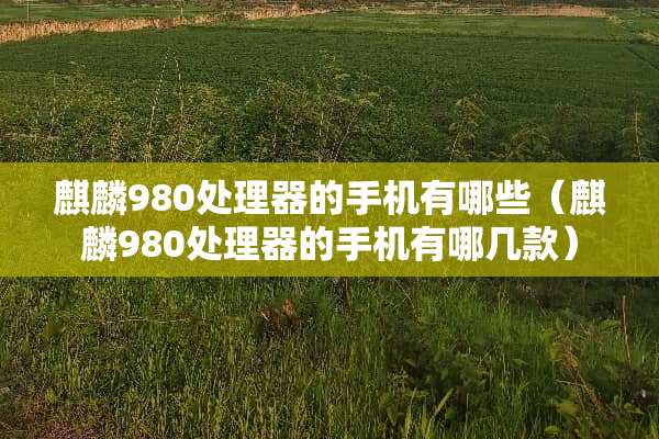 麒麟980处理器的手机有哪些（麒麟980处理器的手机有哪几款）