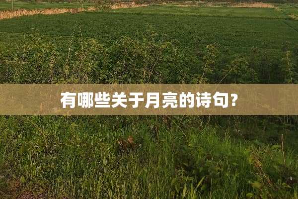 有哪些关于月亮的诗句？