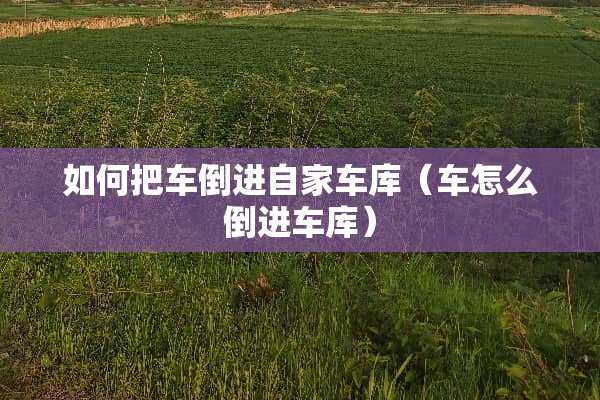 如何把车倒进自家车库（车怎么倒进车库）