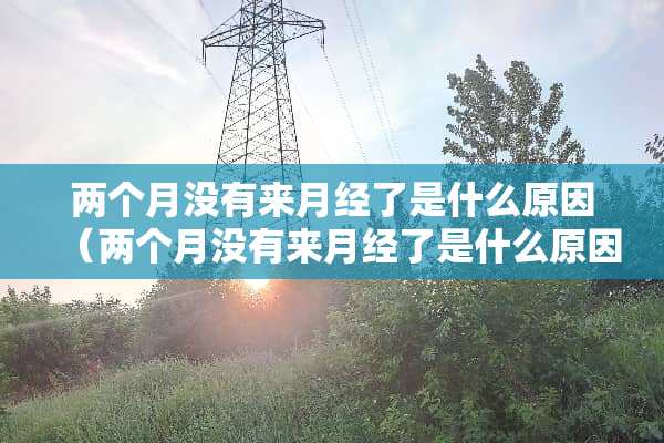 两个月没有来月经了是什么原因（两个月没有来月经了是什么原因15岁）