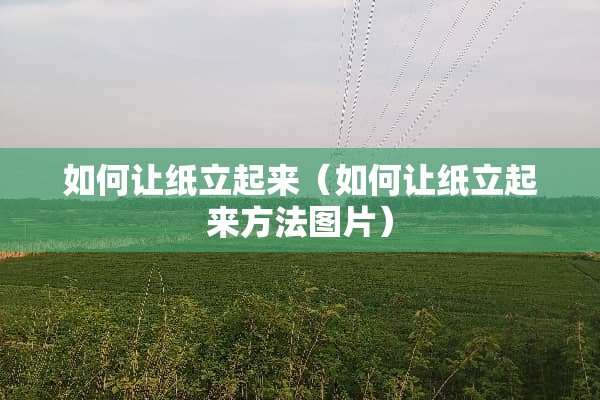 如何让纸立起来（如何让纸立起来方法图片）