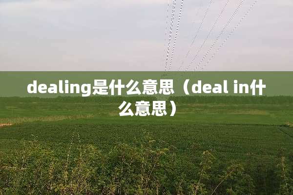 dealing是什么意思（deal in什么意思）