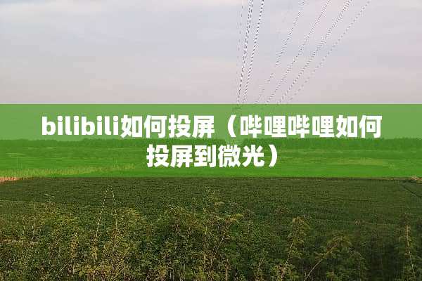 bilibili如何投屏（哔哩哔哩如何投屏到微光）