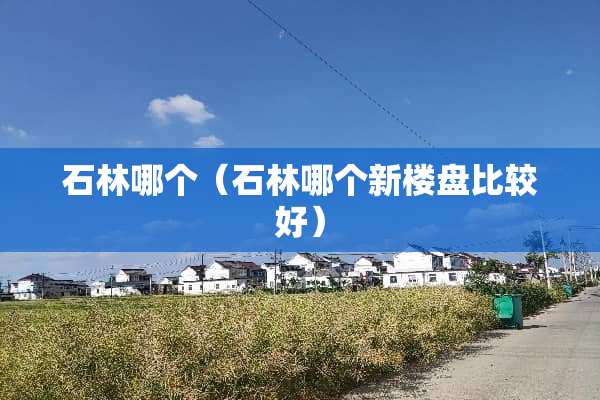 石林哪个（石林哪个新楼盘比较好）