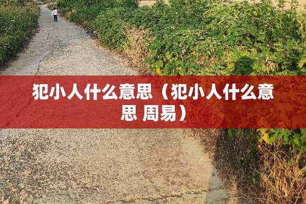 犯小人什么意思（犯小人什么意思 周易）