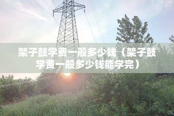 架子鼓学费一般多少钱（架子鼓学费一般多少钱能学完）