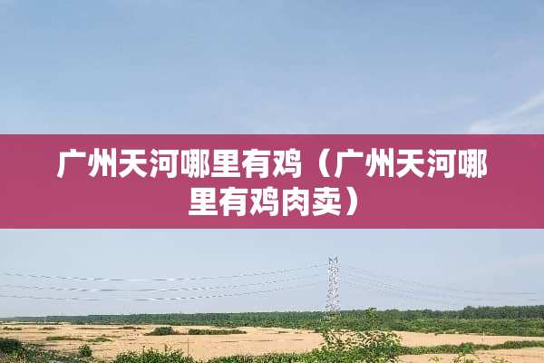 广州天河哪里有鸡（广州天河哪里有鸡肉卖）