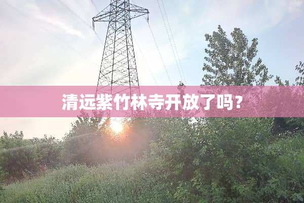 清远紫竹林寺开放了吗？