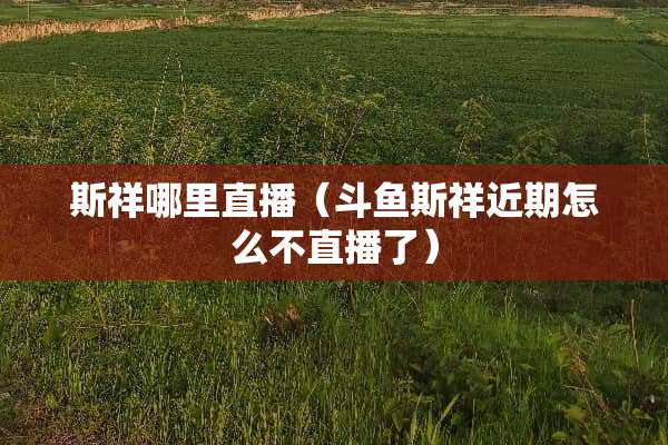 斯祥哪里直播（斗鱼斯祥近期怎么不直播了）