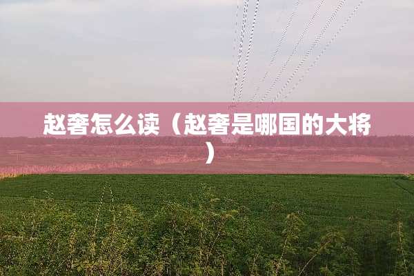 赵奢怎么读（赵奢是哪国的大将）