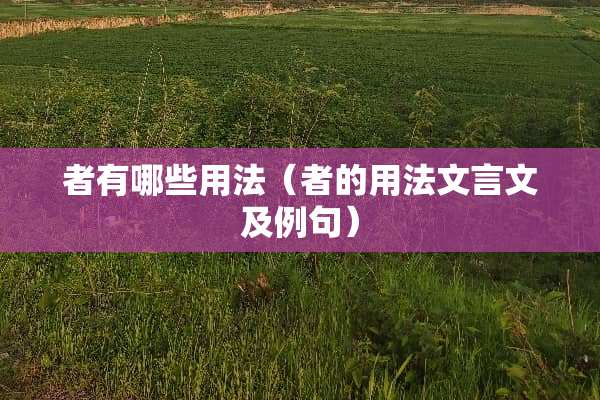 者有哪些用法（者的用法文言文及例句）
