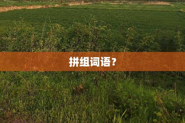 拼组词语？