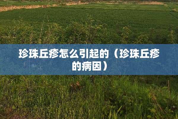 珍珠丘疹怎么引起的（珍珠丘疹的病因）