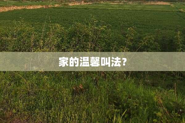 家的温馨叫法？