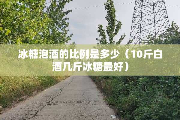 冰糖泡酒的比例是多少（10斤白酒几斤冰糖最好）