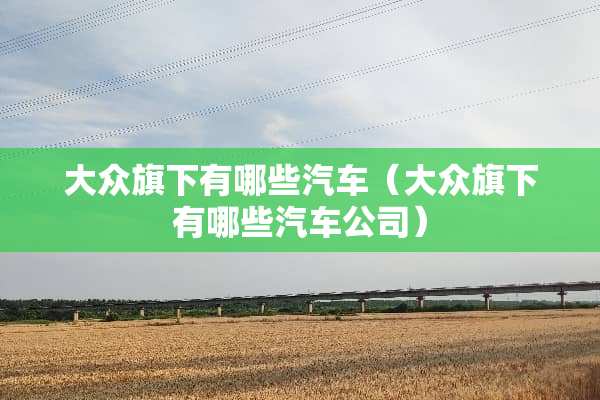 大众旗下有哪些汽车（大众旗下有哪些汽车公司）